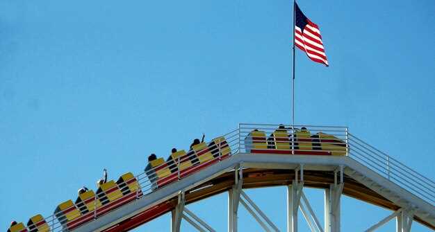 Track safety flags and what they mean